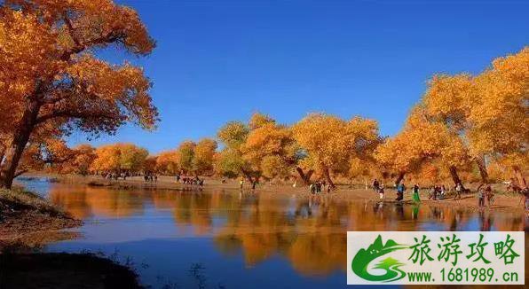 最适合秋季旅游的地方 最适合秋季旅游的地方