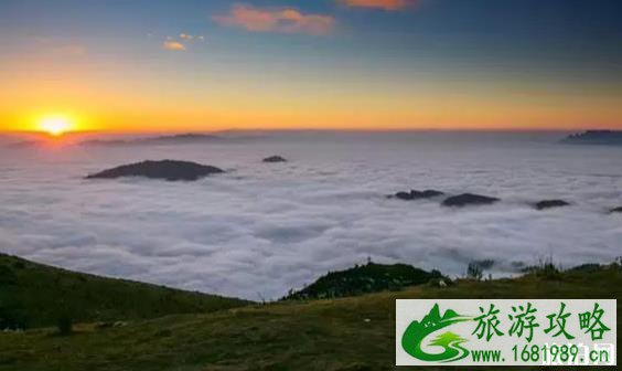 2022牛背山最新规划图是怎样的 最新的牛背山出炉 2022牛背山最新规划图是怎样的 最新的牛背山出炉