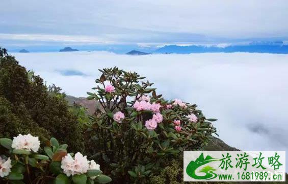 2022牛背山最新规划图是怎样的 最新的牛背山出炉 2022牛背山最新规划图是怎样的 最新的牛背山出炉