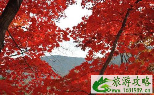 本溪赏枫的地方和详细攻略 本溪赏枫的地方和详细攻略