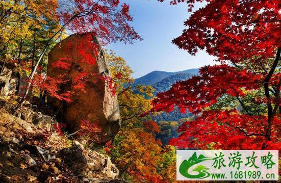 本溪赏枫的地方和详细攻略 本溪赏枫的地方和详细攻略