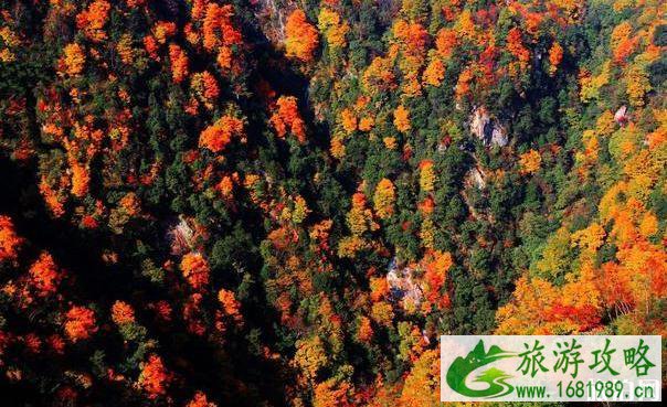 四川红叶景点有哪些 四川看红叶最好的地方 四川红叶景点有哪些 四川看红叶最好的地方