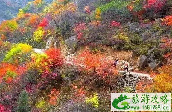 秦岭公路自驾游线路推荐 秦岭公路自驾游线路推荐