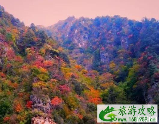 秦岭公路自驾游线路推荐 秦岭公路自驾游线路推荐