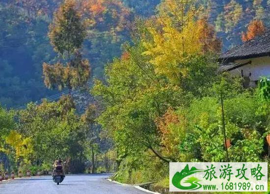 秦岭公路自驾游线路推荐 秦岭公路自驾游线路推荐