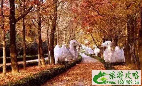 9月南京哪里好玩 9月南京景点推荐