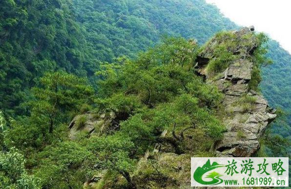 昌厦高铁最新消息 昌厦高铁时速+经过城市 昌厦高铁最新消息 昌厦高铁时速+经过城市