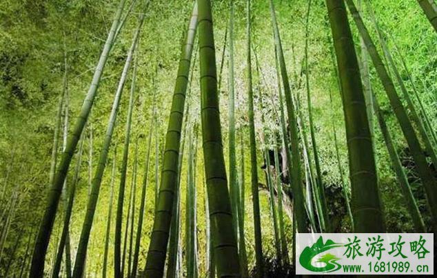 2022年中秋国庆德阳周边游攻略 2022年中秋国庆德阳周边游攻略