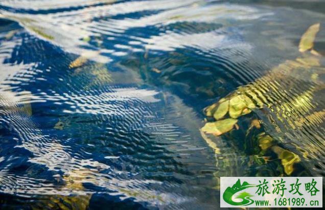 2022年中秋国庆德阳周边游攻略 2022年中秋国庆德阳周边游攻略