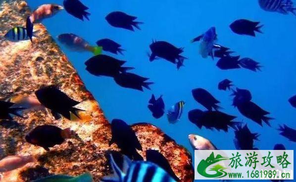 巴拉望6天旅游攻略 巴拉望6天旅游攻略