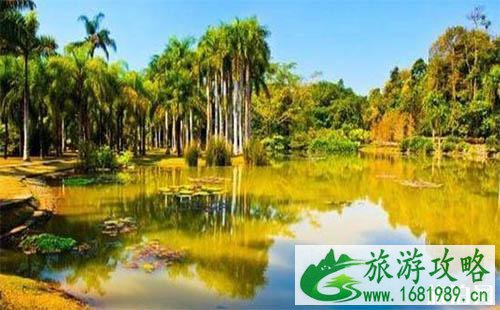 西双版纳旅游注意事项 当地少数民族忌讳 西双版纳旅游注意事项 当地少数民族忌讳