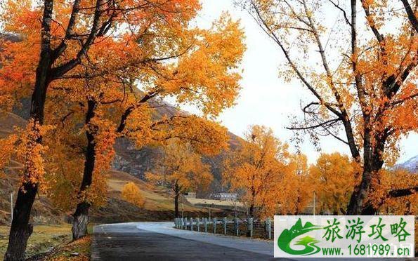 四川8天旅游攻略花费四千推荐