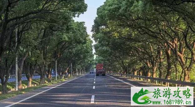 长兴自驾游线路推荐