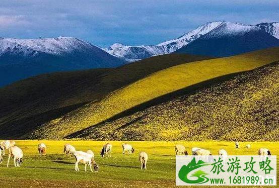 2022大西北旅游专列最新情况 2022大西北旅游专列最新情况