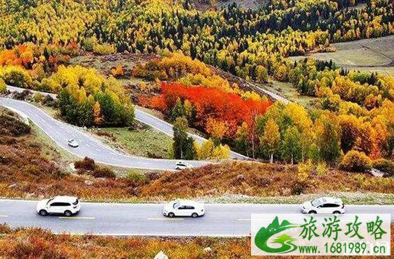 2022大西北旅游专列最新情况 2022大西北旅游专列最新情况