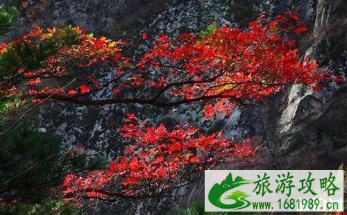 江苏有秋天吗 江苏秋天好玩的地方