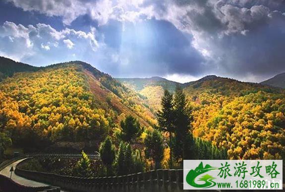 2022九月内蒙古旅游 现在内蒙古有啥好玩的 2022九月内蒙古旅游 现在内蒙古有啥好玩的