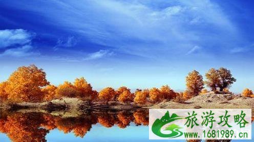 2022国庆额济纳胡杨林观赏线路 2022国庆额济纳胡杨林观赏线路