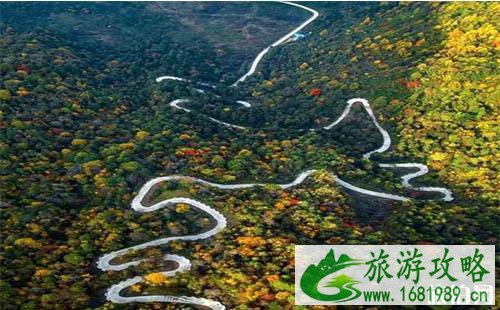 秦岭公路自驾游线路推荐 秦岭公路自驾游线路推荐
