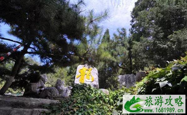龙潭公园有什么好玩的 龙潭公园游玩攻略 龙潭公园有什么好玩的 龙潭公园游玩攻略