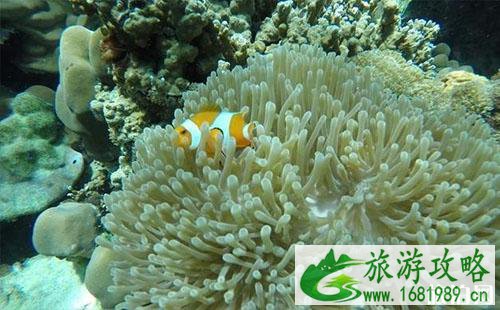 甲米玩几天比较好 甲米推荐的海岛