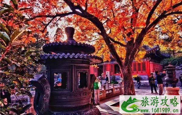秋天去哪里玩最好 秋天旅游景点推荐 秋天去哪里玩最好 秋天旅游景点推荐