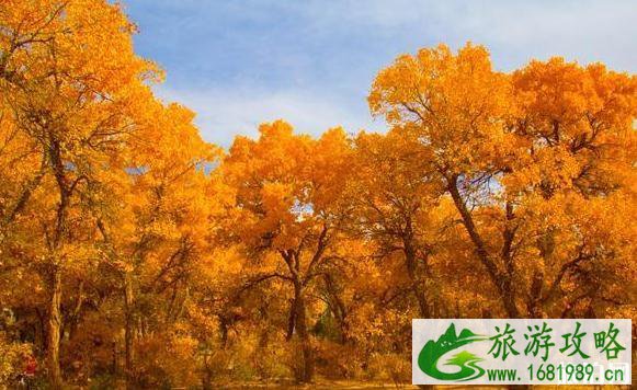 内蒙古景区优惠政策2022