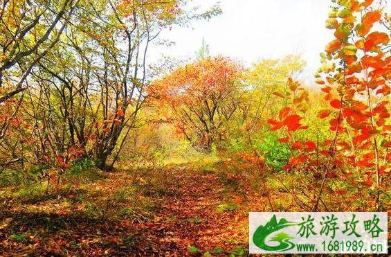 徒步塔水河峡谷游记 徒步塔水河峡谷游记