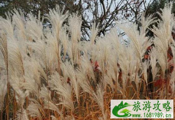 徒步塔水河峡谷游记 徒步塔水河峡谷游记