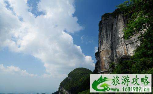 2022重庆金佛山西坡门票价格+优惠政策+交通