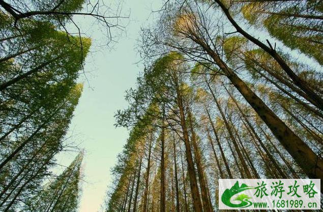 湖南自驾游路线推荐 湖南自驾游路线推荐