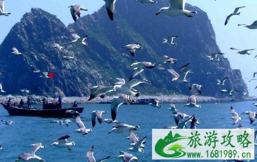 2022烟台十大旅游景点推荐 烟台必去的景点有哪些 2022烟台十大旅游景点推荐 烟台必去的景点有哪些