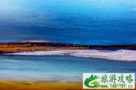 秋天林芝旅游景点推荐