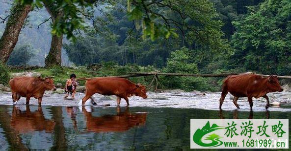 东莞到贵州铜仁自驾游攻略 十天行程安排 东莞到贵州铜仁自驾游攻略 十天行程安排