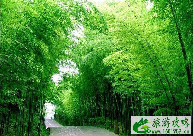 上海周边适合亲子游的地方推荐 上海周边适合亲子游的地方推荐