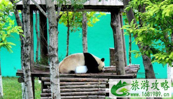 2022威海十大旅游景点推荐 威海必去的景点有哪些 2022威海十大旅游景点推荐 威海必去的景点有哪些