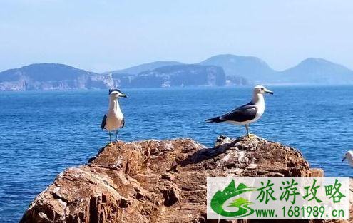 2022威海十大旅游景点推荐 威海必去的景点有哪些 2022威海十大旅游景点推荐 威海必去的景点有哪些