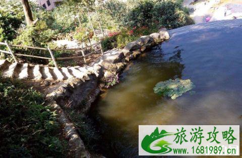 2022深圳教师节青青世界门票优惠活动 2022深圳教师节青青世界门票优惠活动