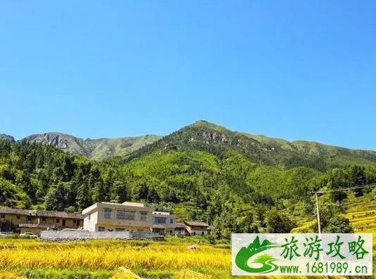 仁化蛇离梯田怎么样 仁化蛇离梯田怎么样