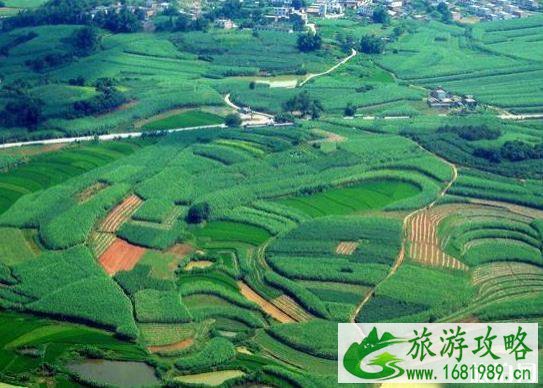 广西合那高速公路风景怎么样 合那高速公路都有那些景点 广西合那高速公路风景怎么样 合那高速公路都有那些景点