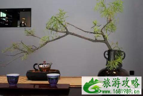 铁像寺水街好玩吗 铁像寺水街游玩介绍