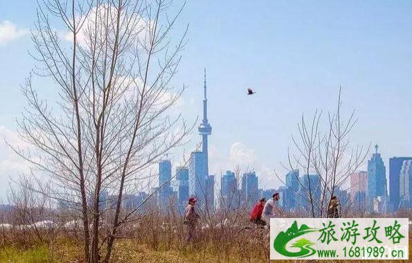 多伦多枫叶什么时间 多伦多秋天景点推荐