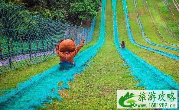 抖音上武汉好玩的地方