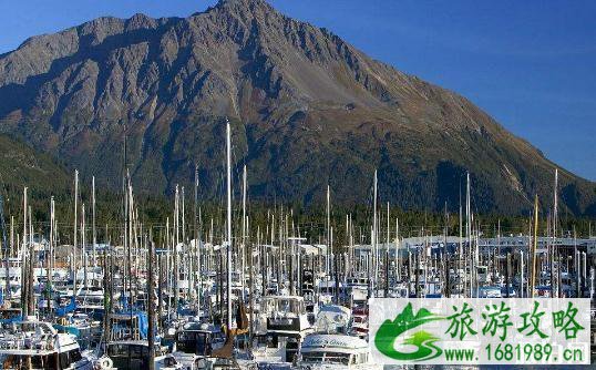 去美国和加拿大游玩买什么保险比较好 去美国和加拿大游玩买什么保险比较好