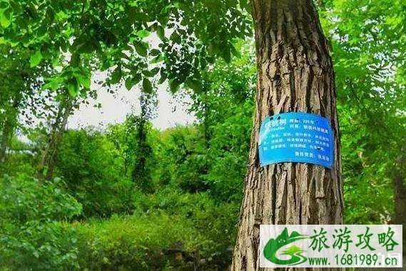 焦作一斗水村在哪 好玩吗 焦作一斗水村在哪 好玩吗