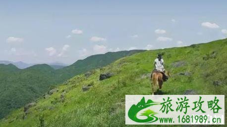 临海有什么好玩的地方 临海有什么好玩的地方