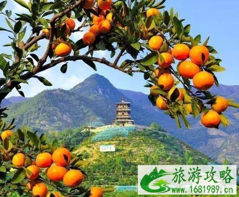 临海有什么好玩的地方 临海有什么好玩的地方