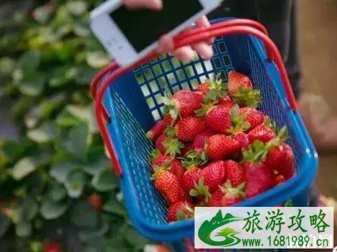 临海有什么好玩的地方 临海有什么好玩的地方