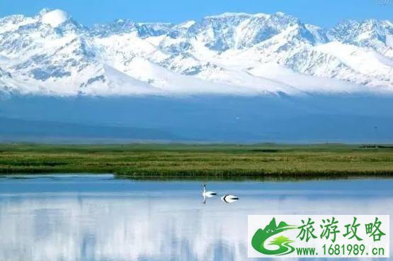 新疆那拉提草原和巴音布鲁克草原哪个好 新疆那拉提草原和巴音布鲁克草原哪个好