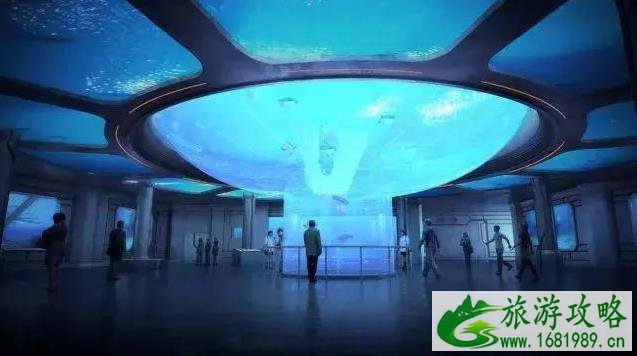 2022上海海昌海洋公园攻略(开业时间+门票价格+交通指南) 2022上海海昌海洋公园攻略(开业时间+门票价格+交通指南)